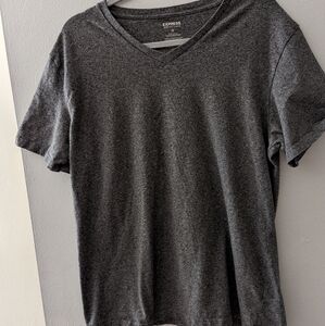 Men's Express V-Neck T-shirt